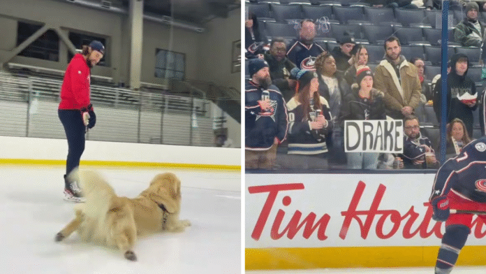 Projekt bez nazwy (65)