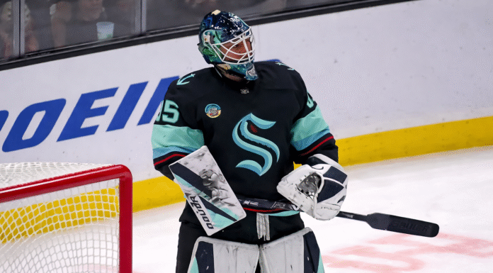 Raport. Centymetry od gola bramkarza w NHL. Hokej