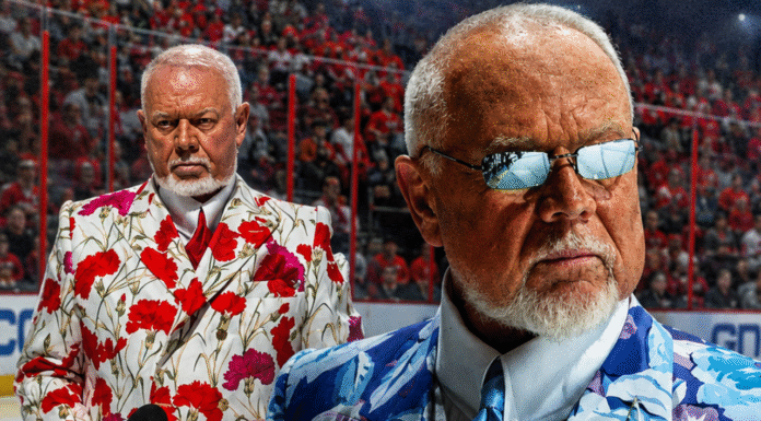 Skasowany za szczerość. Co się dzieje z najostrzejszym ekspertem NHL?