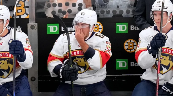 Hokej to nie olimpiada matematyczna. Kogo i za co kochają kibice NHL?